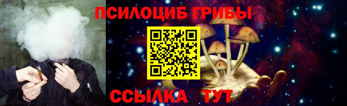 Галлюциногенные грибы прущие грибы  Вход с VPN  Протвино 